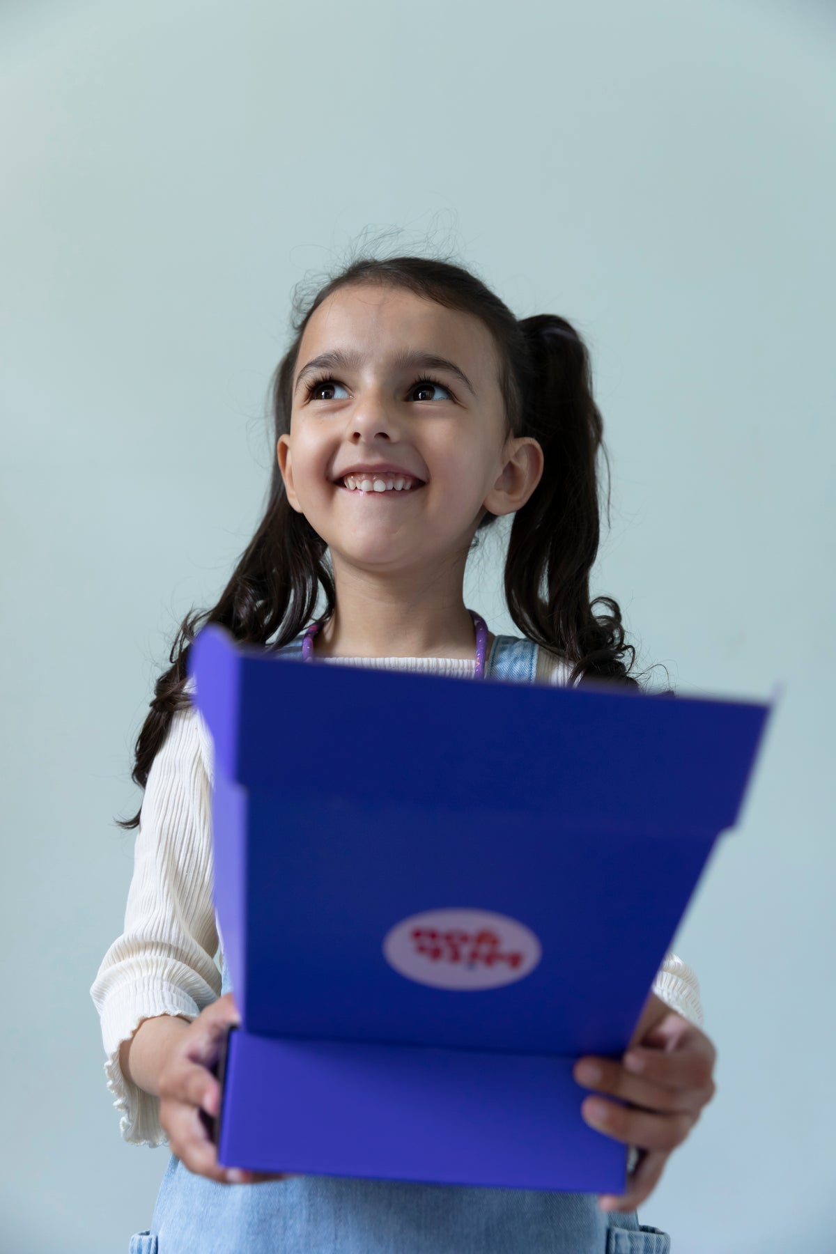 GIFT a Toycessory® Experience